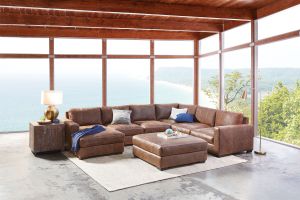 Dawkins by Bernhardt